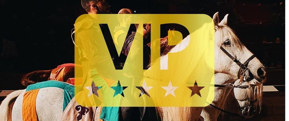 Ужин-шоу "Средневековый вызов» (VIP-Пасс) Апарт-отель Magic Tropical Splash Бенидорм Ужин-шоу "Средневековый вызов» (VIP-Пасс) Апарт-отель Magic Tropical Splash Бенидорм