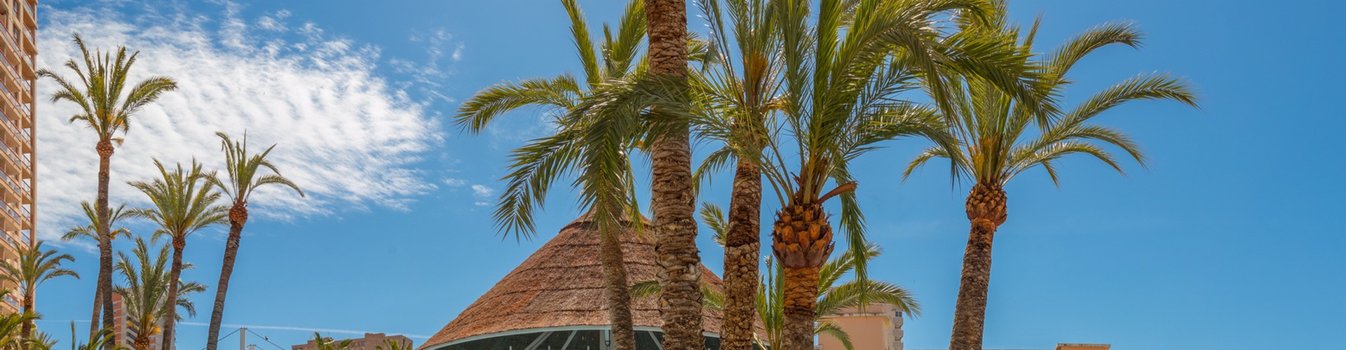 Magic Aqua™ Tropical Splash - Бенидорм - Magic Aqua™ Tropical Splash - Бенидорм -